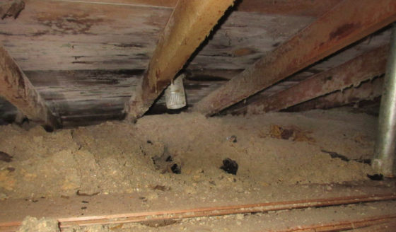 Strickland Home Inspections uncovers Attic Vent Issues